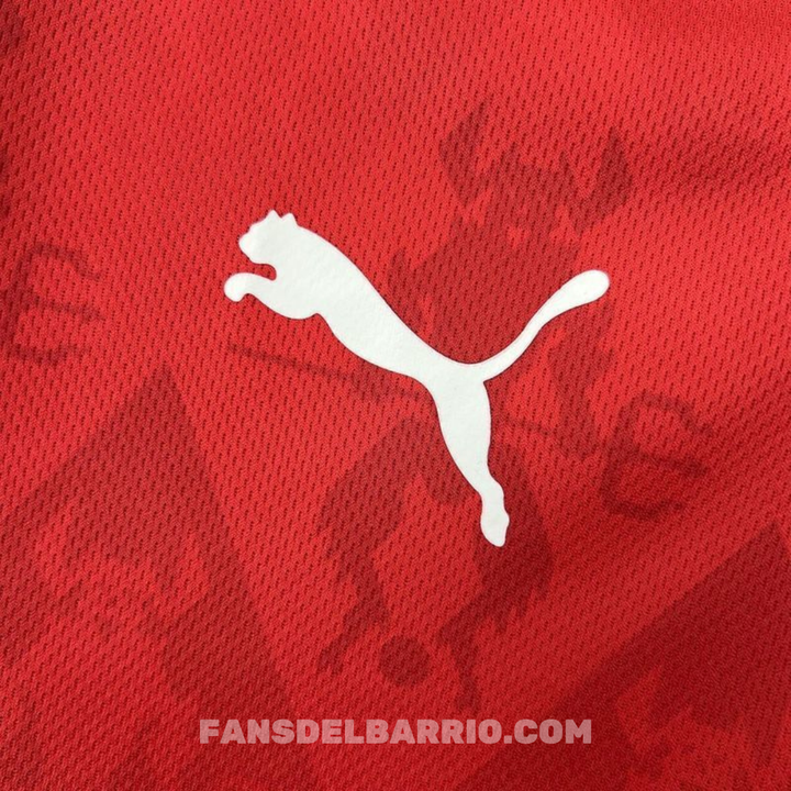 Camiseta Fan CA Independiente 2025 Local para Hombre